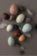 Load image into Gallery viewer, A Dozen Bird Eggs