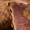 Bonny Reversible Velvet Cushion - Tiger's Eye