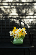 Load image into Gallery viewer, Daffodils
