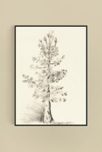 Load image into Gallery viewer, Tree Sketch