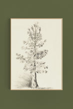 Load image into Gallery viewer, Tree Sketch