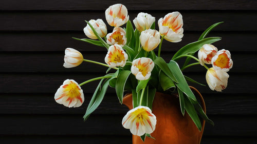 Tulips Frame TV Art